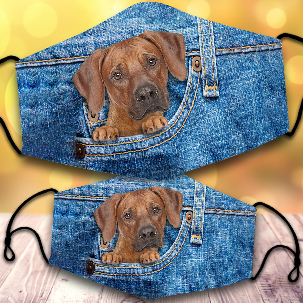 Rhodesian ridgeback-In Pocket-Veil