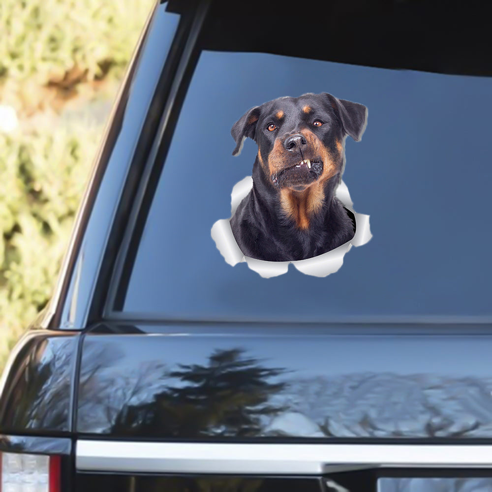 Rottweiler 2 Out Of The Window Decal