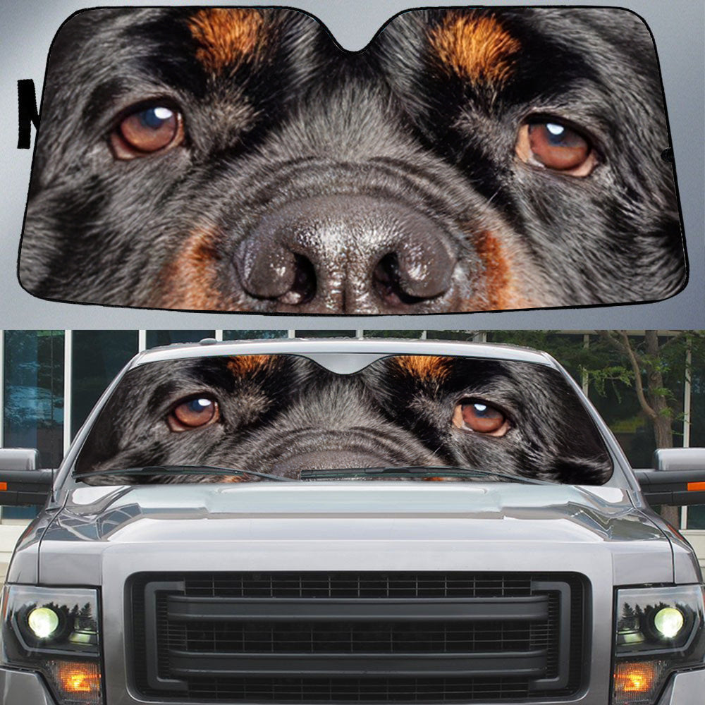 Rottweiler's Eyes-Beautiful Dog Eyes Car Sun Shade Cover Auto Windshield