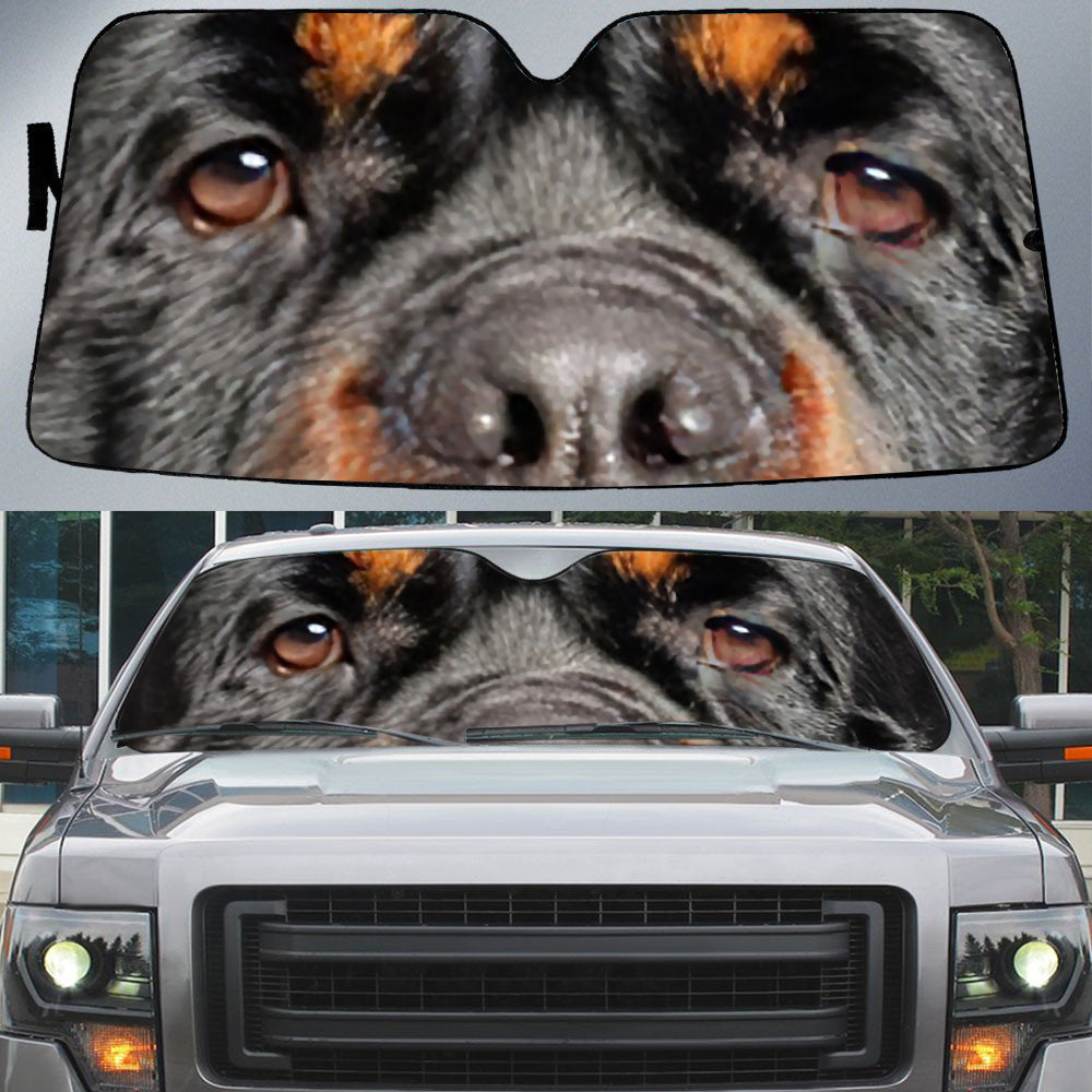 Rottweiler (2)&#39;s Eyes-Beautiful Dog Eyes Car Sun Shade Cover Auto Windshield