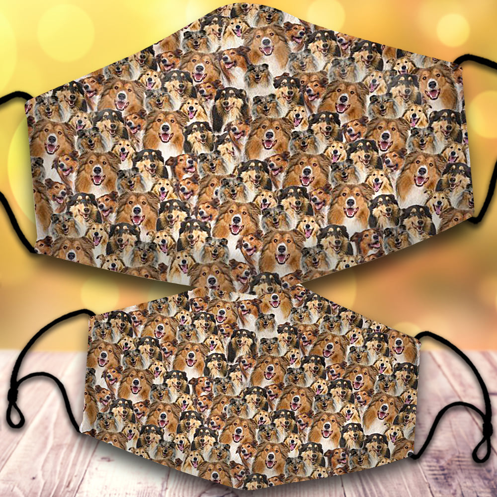 Rough Collie-Full Veil