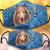 Rough Collie-In Pocket-Veil