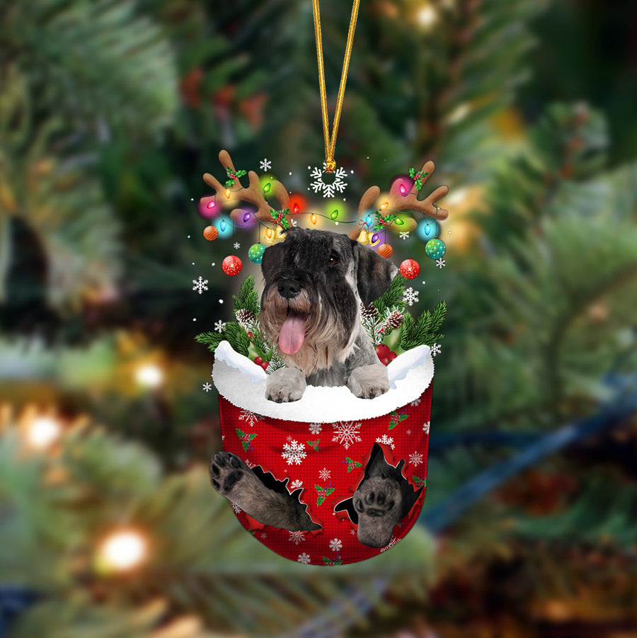 Schnauzer-In Christmas Pocket Two Sides Ornament