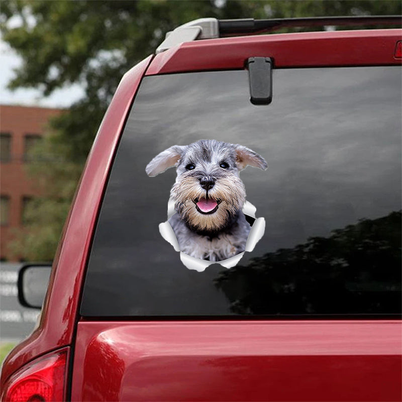 Cute Schnauzer CRACK CAR STICKER