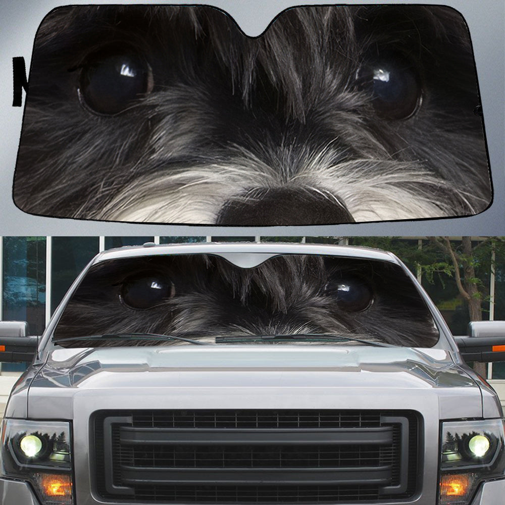 Schnauzer (2)'s Eyes-Beautiful Dog Eyes Car Sun Shade Cover Auto Windshield