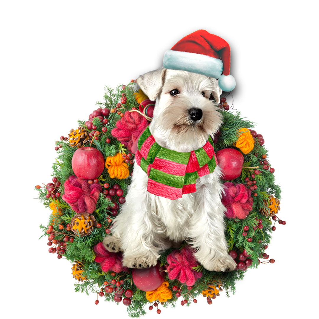 Schnauzer Christmas Ornament