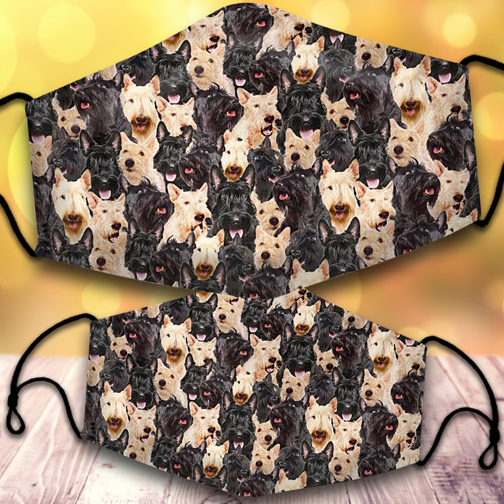 Scottish Terrier-Full Veil