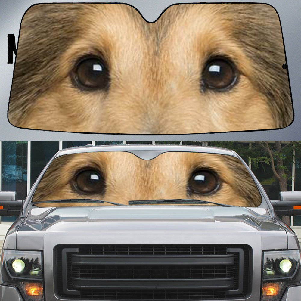 Shetland Sheepdog's Eyes-Beautiful Dog Eyes Car Sun Shade Cover Auto Windshield