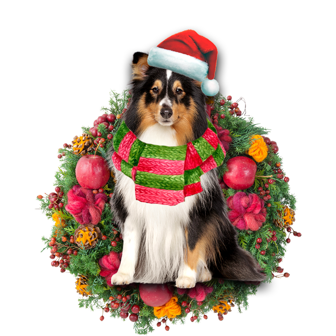 Shetland Sheepdog Christmas Ornament