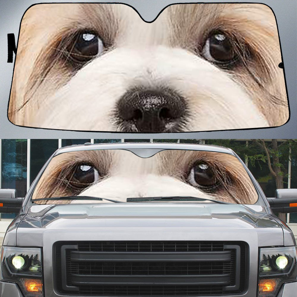 Shih Tzu (2)'s Eyes-Beautiful Dog Eyes Car Sun Shade Cover Auto Windshield
