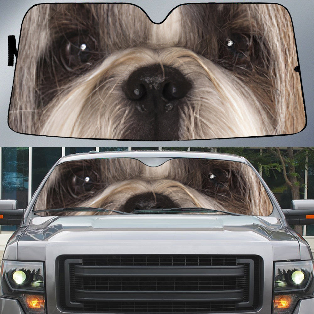 Shih Tzu's Eyes-Beautiful Dog Eyes Car Sun Shade Cover Auto Windshield