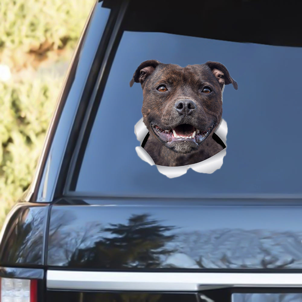 Staffie Out Of The Window Decal