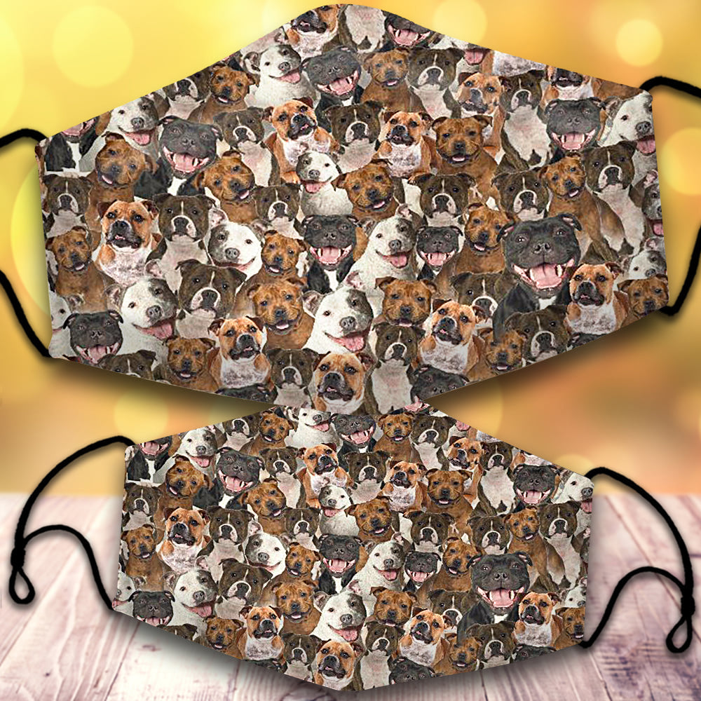 Staffordshire Bull Terrier-Full Veil