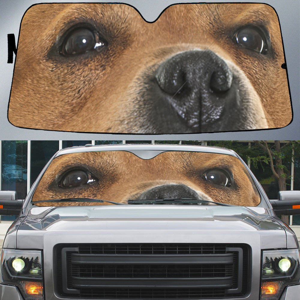 Staffordshire Bull Terrier (2)&#39;s Eyes-Beautiful Dog Eyes Car Sun Shade Cover Auto Windshield
