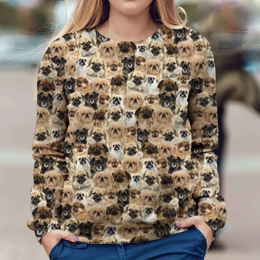 Tibetan Spaniel - Full Face - Premium Sweatshirt