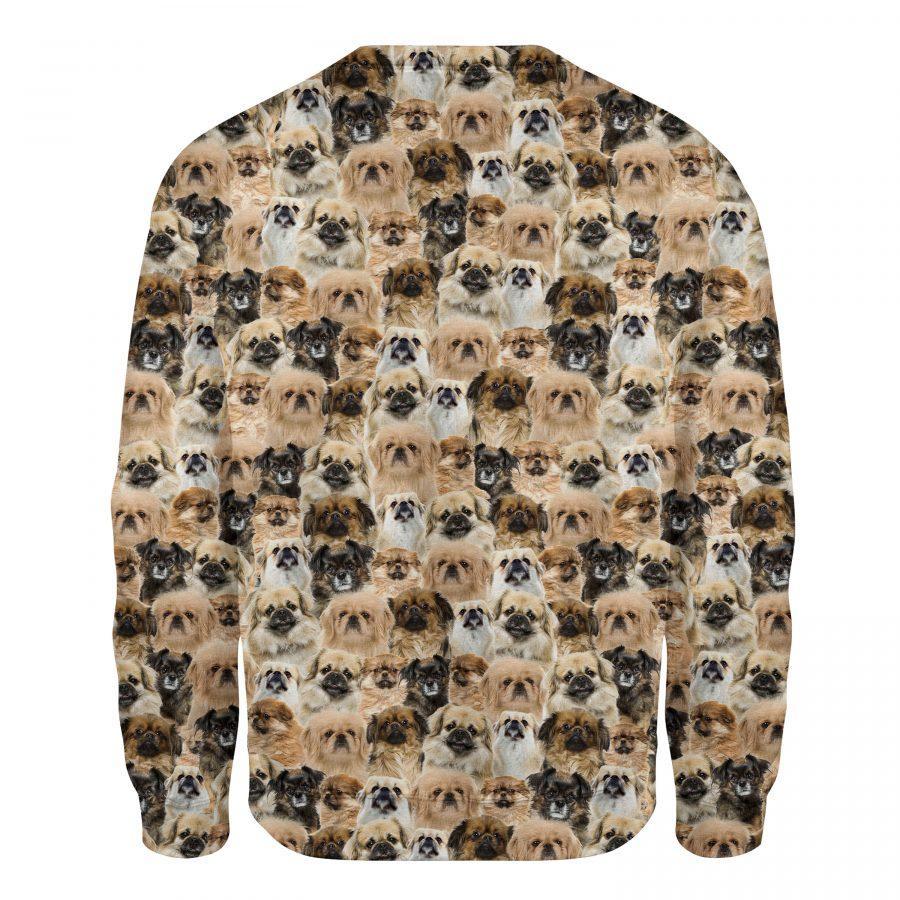 Tibetan Spaniel - Full Face - Premium Sweatshirt