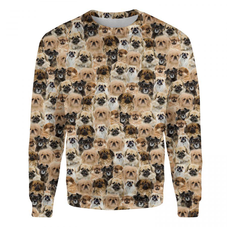 Tibetan Spaniel - Full Face - Premium Sweatshirt
