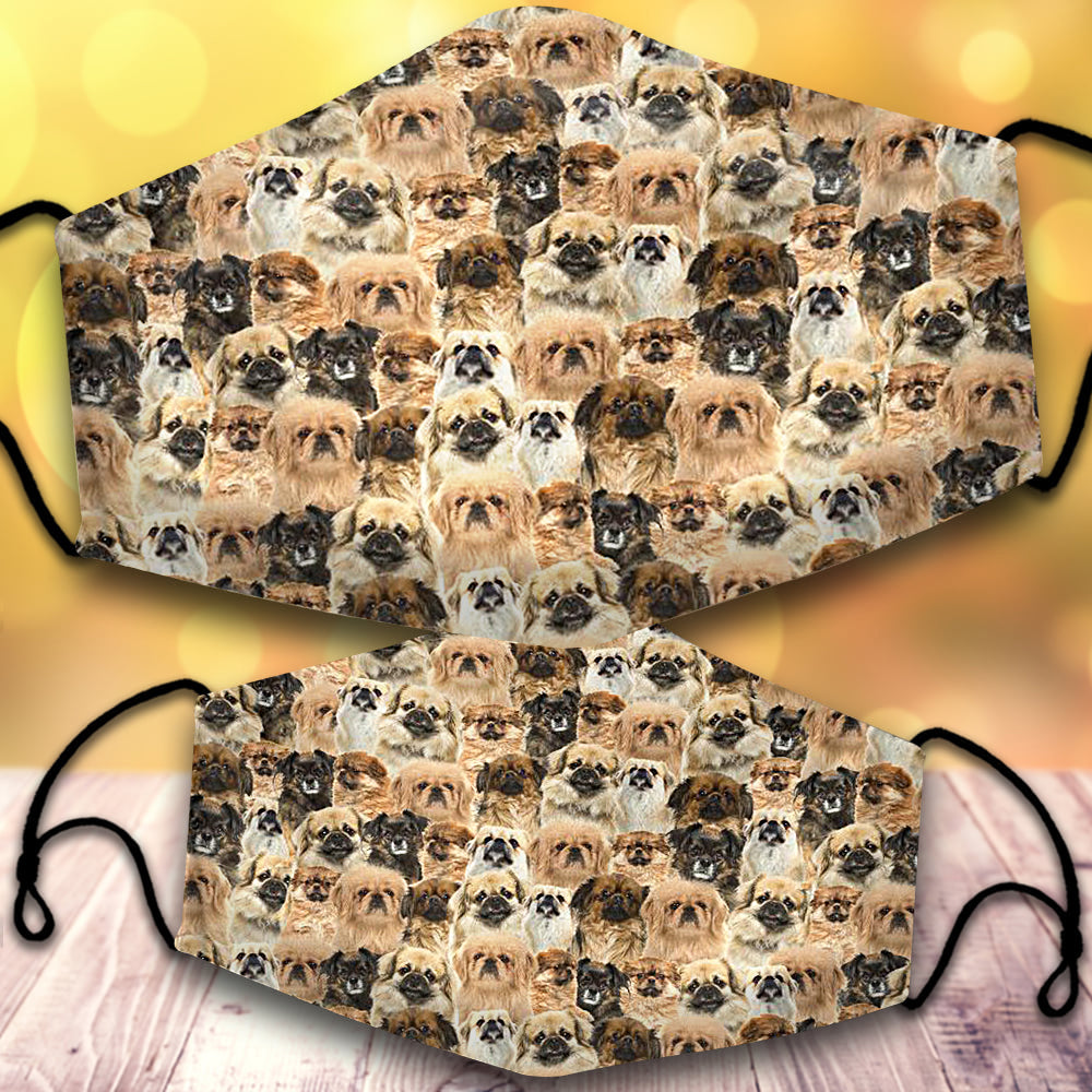 Tibetan Spaniel-Full Veil