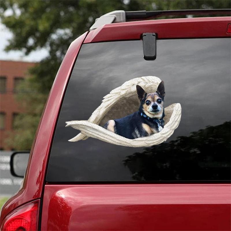 Tricolor chihuahua-sleeping angel CAR STICKER