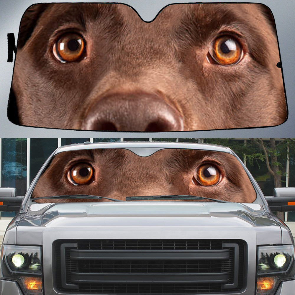 Vizsla (2)'s Eyes-Beautiful Dog Eyes Car Sun Shade Cover Auto Windshield