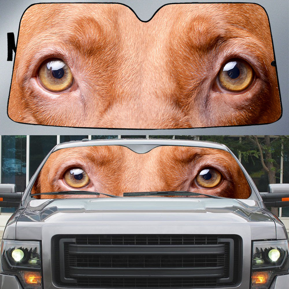 Vizsla's Eyes-Beautiful Dog Eyes Car Sun Shade Cover Auto Windshield