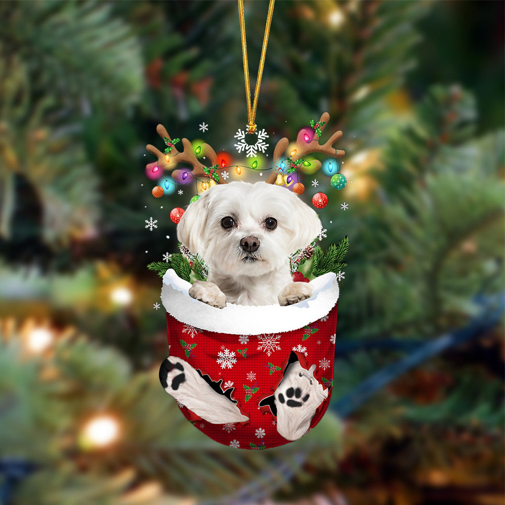 Maltese-In Christmas Pocket Two Sides Ornament