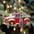 Weimaraner-Cardinal & Truck Two Sided Ornament