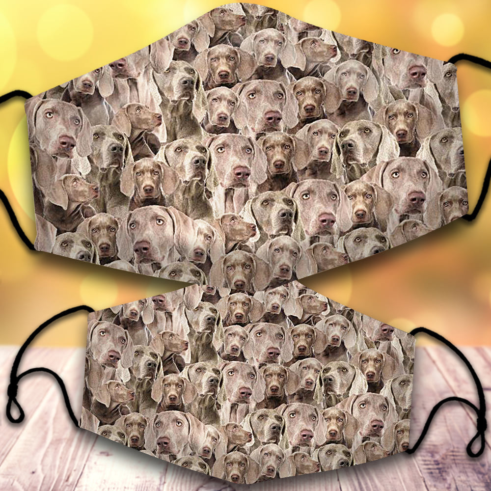 Weimaraner-Full Veil