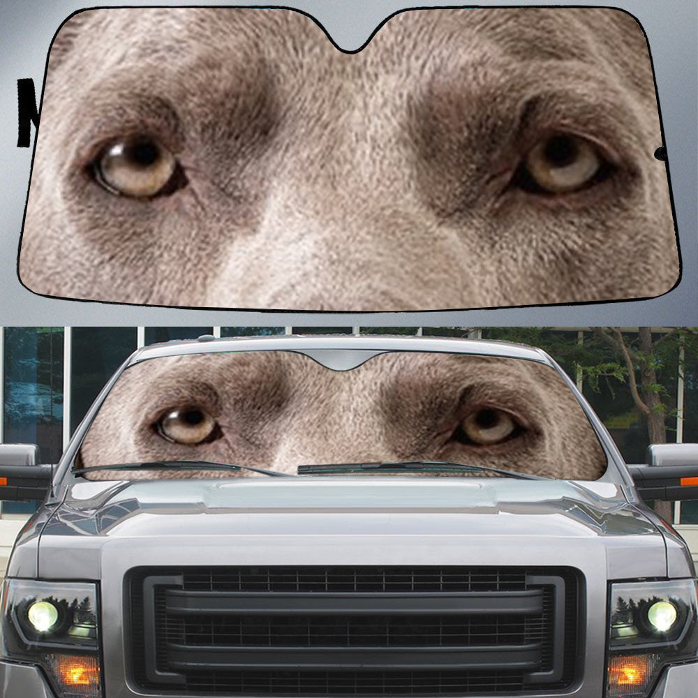 Weimaraner (2)'s Eyes-Beautiful Dog Eyes Car Sun Shade Cover Auto Windshield