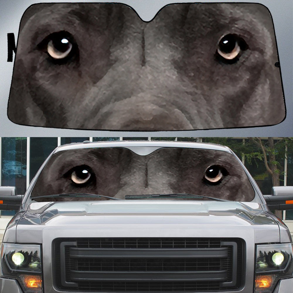 Weimaraner (3)'s Eyes-Beautiful Dog Eyes Car Sun Shade Cover Auto Windshield