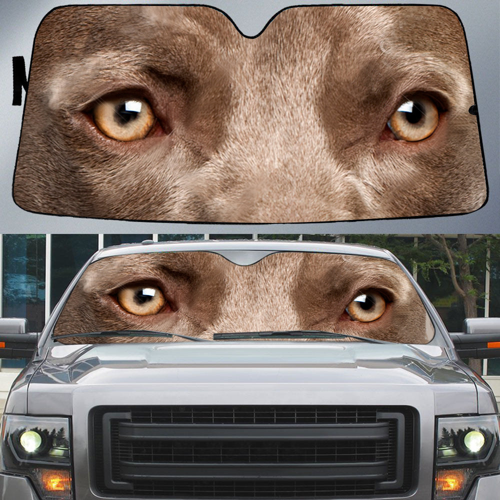 Weimaraner's Eyes-Beautiful Dog Eyes Car Sun Shade Cover Auto Windshield
