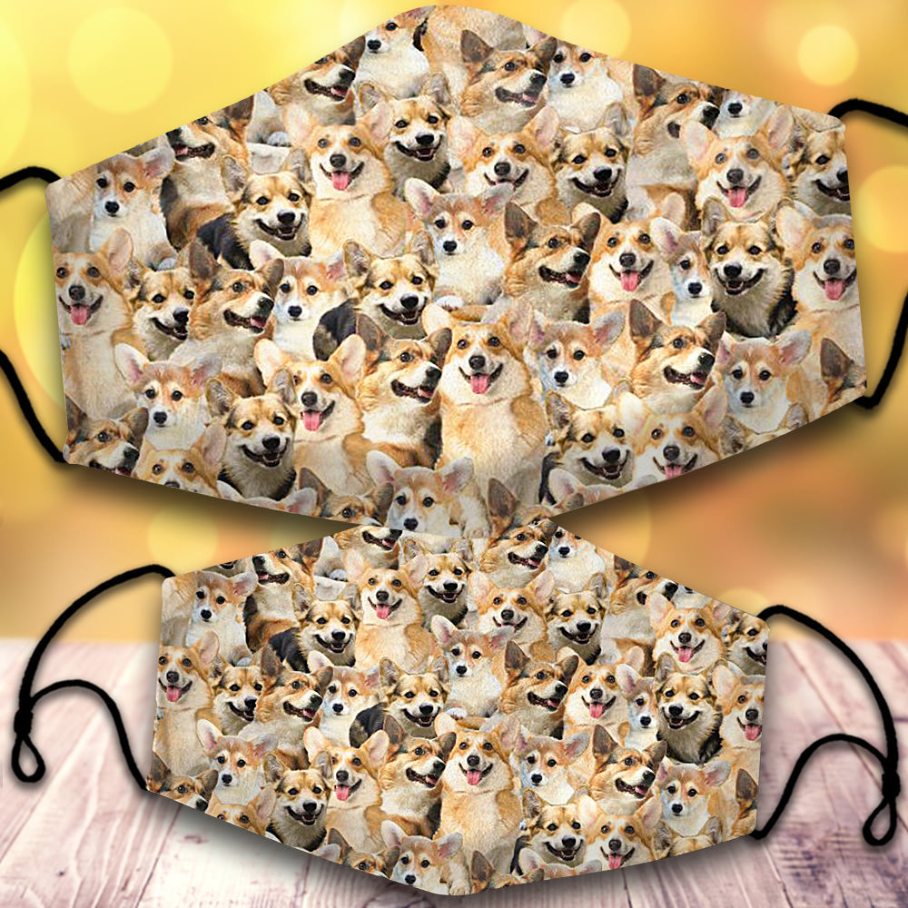 Welsh Corgi-Full Veil
