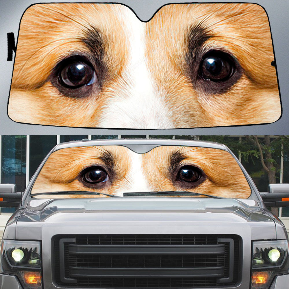 Welsh Corgi's Eyes-Beautiful Dog Eyes Car Sun Shade Cover Auto Windshield