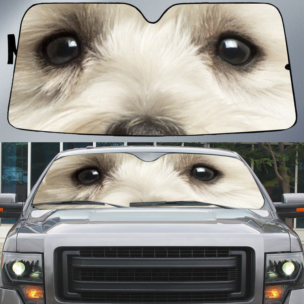 West Highland Terrier's Eyes-Beautiful Dog Eyes Car Sun Shade Cover Auto Windshield