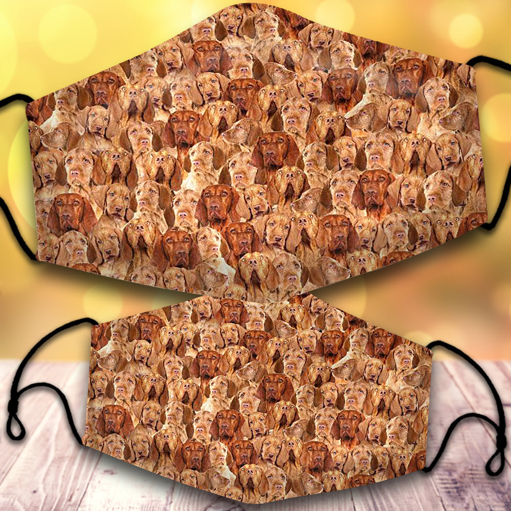 Wirehaired Vizsla-Full Veil