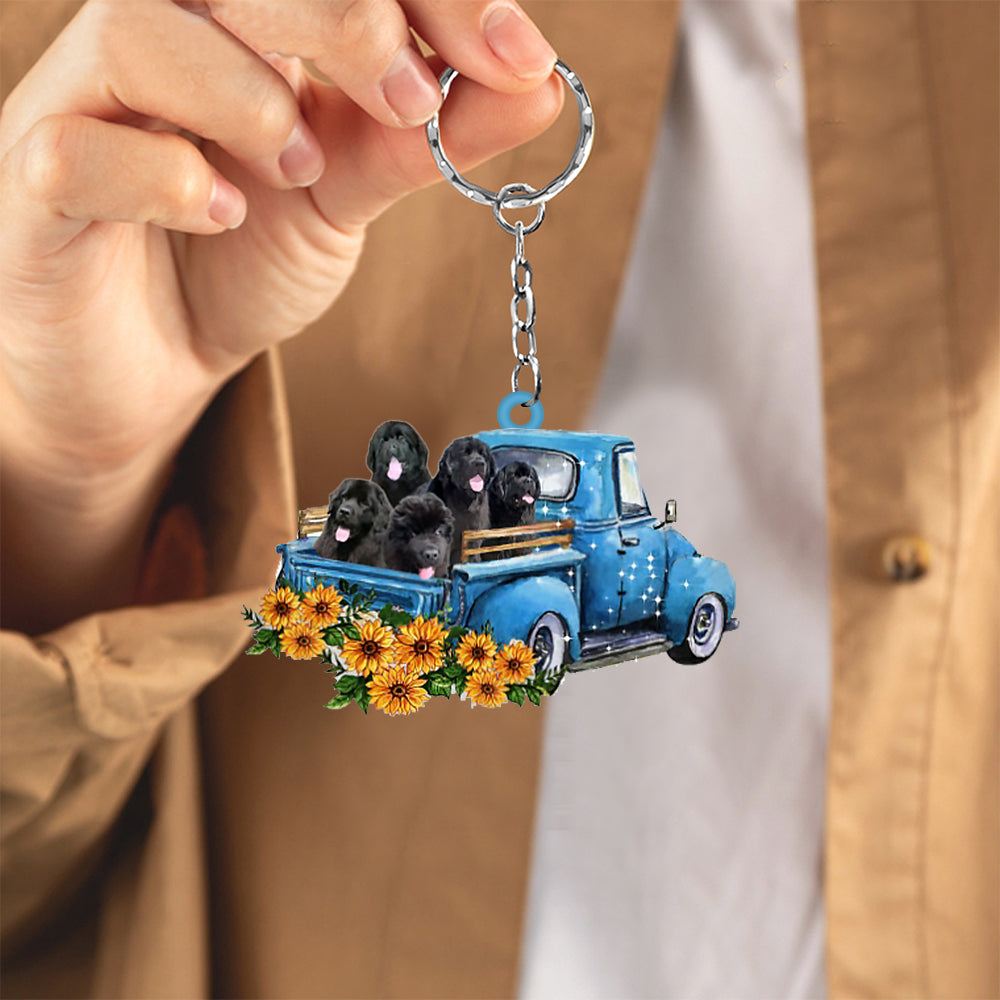 With Newfoundland Take The Trip Keychain