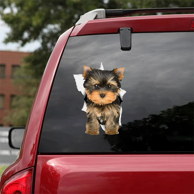 Cute Yorkie CRACK CAR STICKER