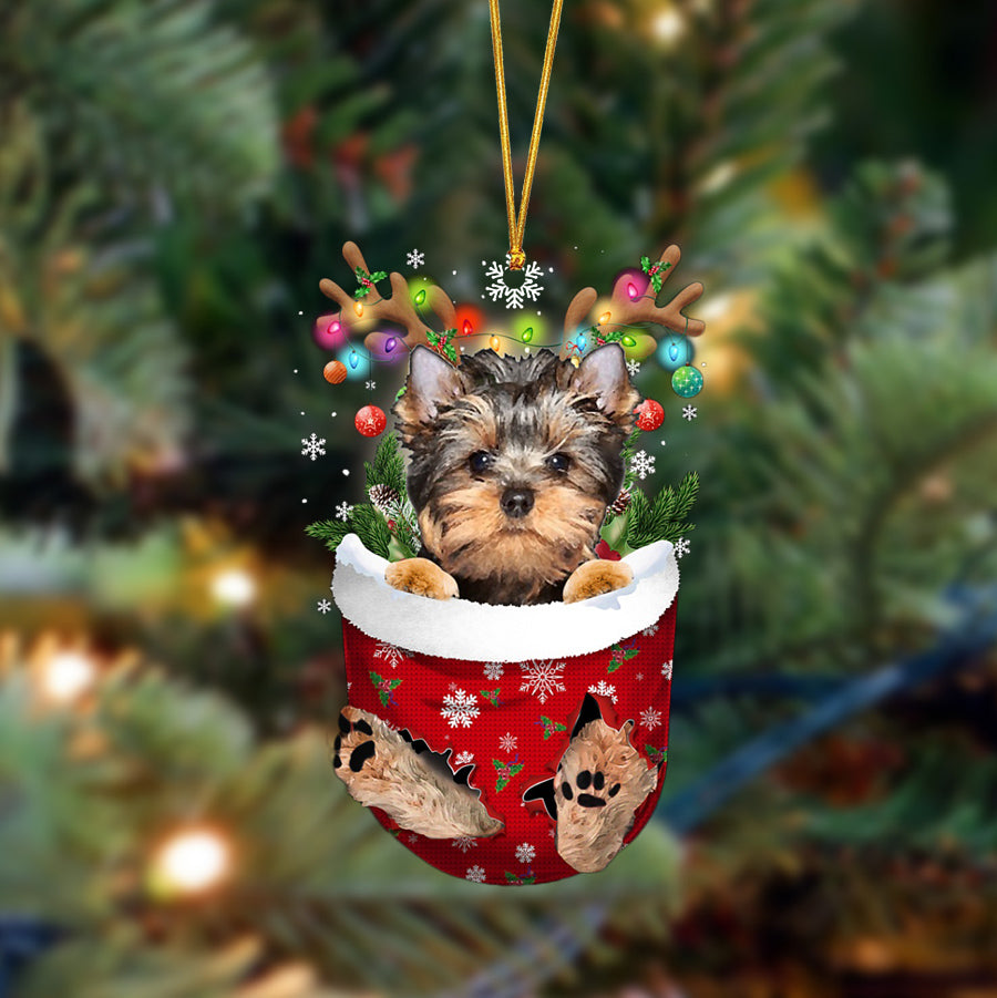 Yorkshire-In Christmas Pocket Two Sides Ornament