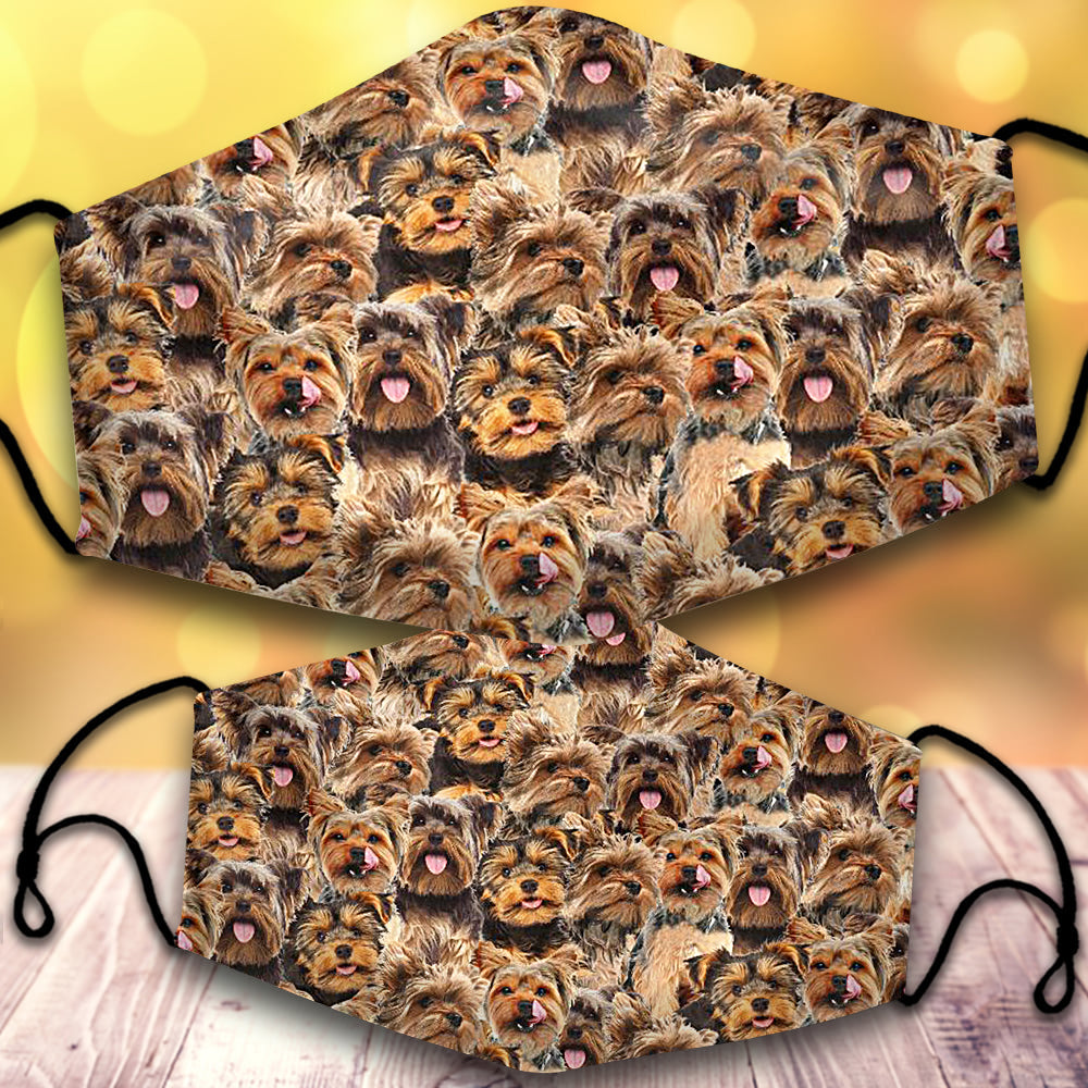 Yorkshire Terrier-Full Veil
