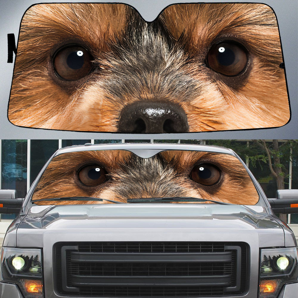 Yorkshire Terrier's Eyes-Beautiful Dog Eyes Car Sun Shade Cover Auto Windshield