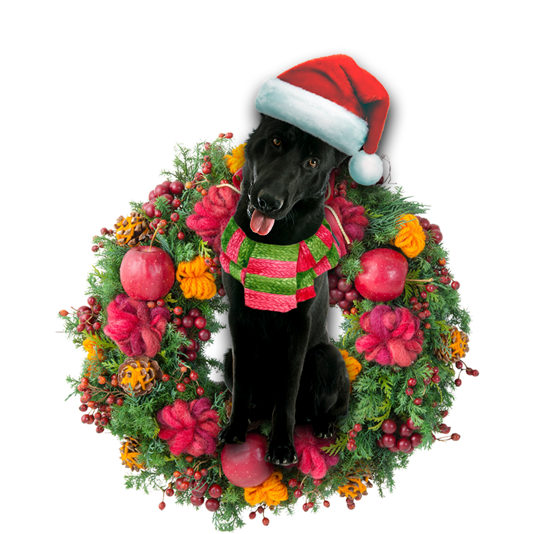 Black German Shepherd Christmas Ornament