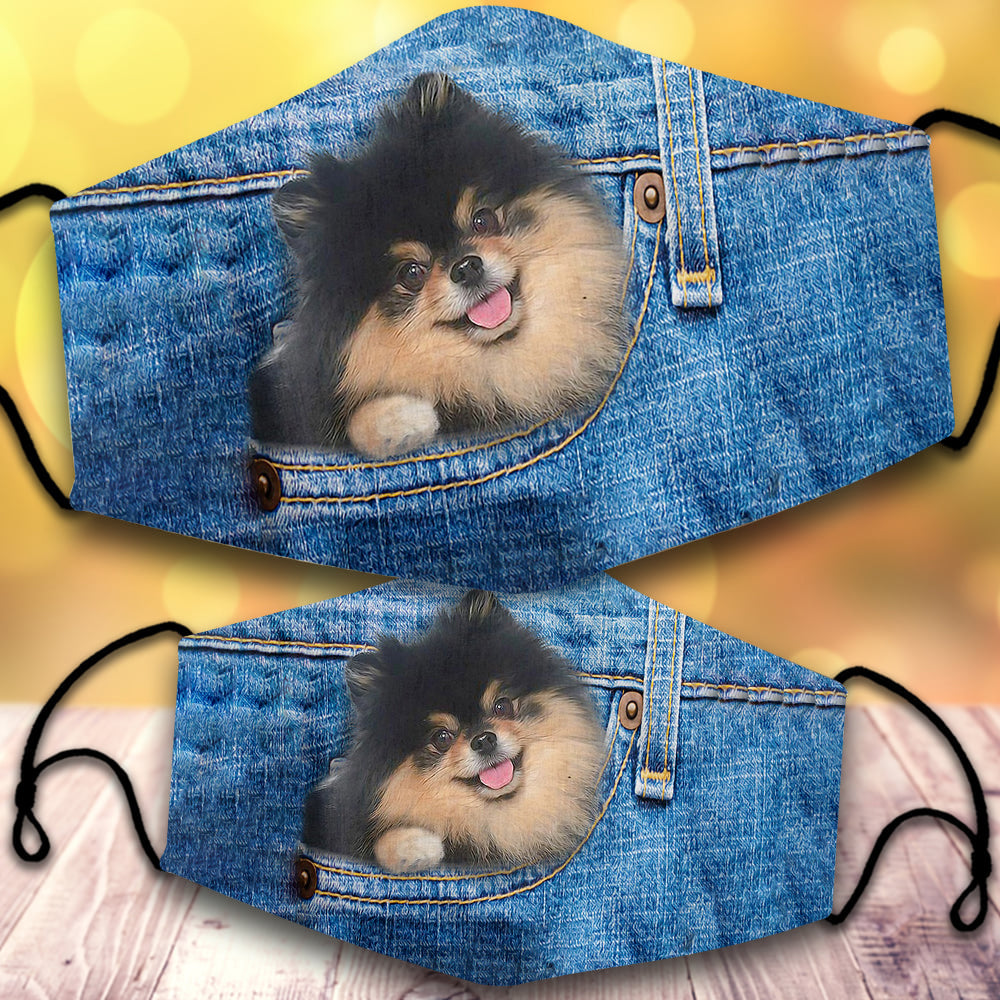 Black And Tan Pomeranian-In Pocket-Veil
