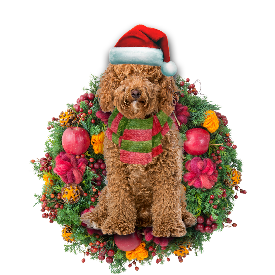 Brown Labradoodle Christmas Ornament