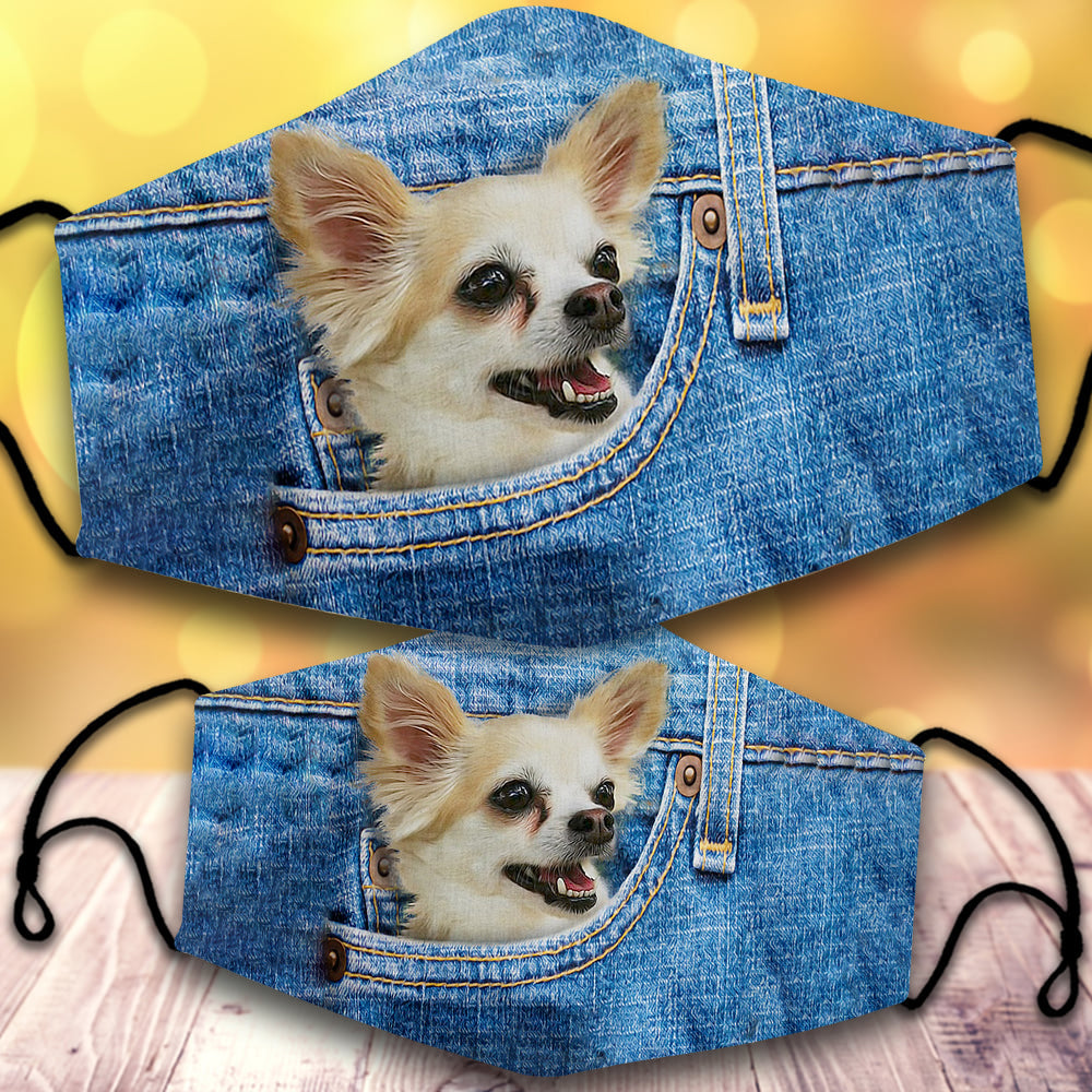 chihuahua1-In Pocket-Veil