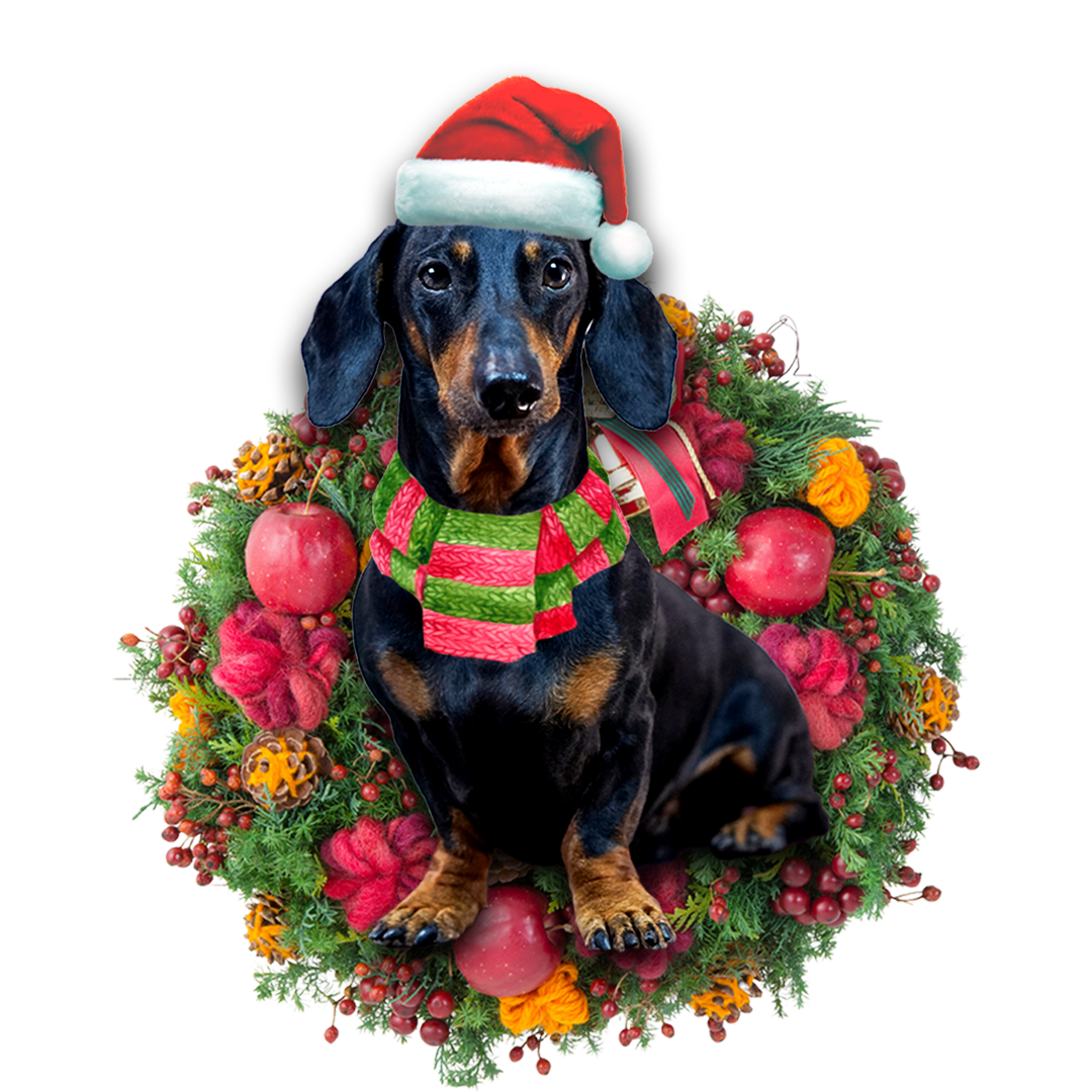 Dachshund Christmas Ornament