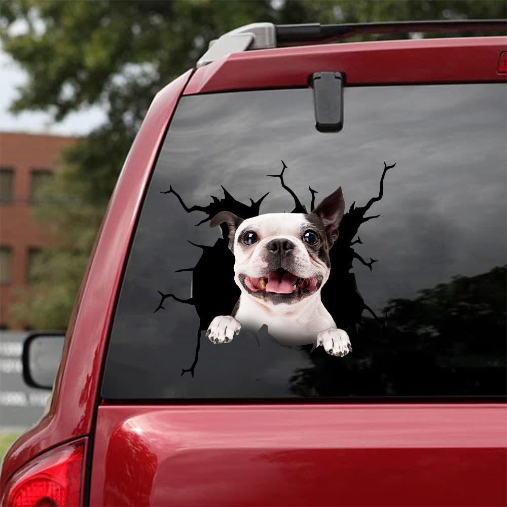 BOSTON TERRIER CRACK STICKER 10