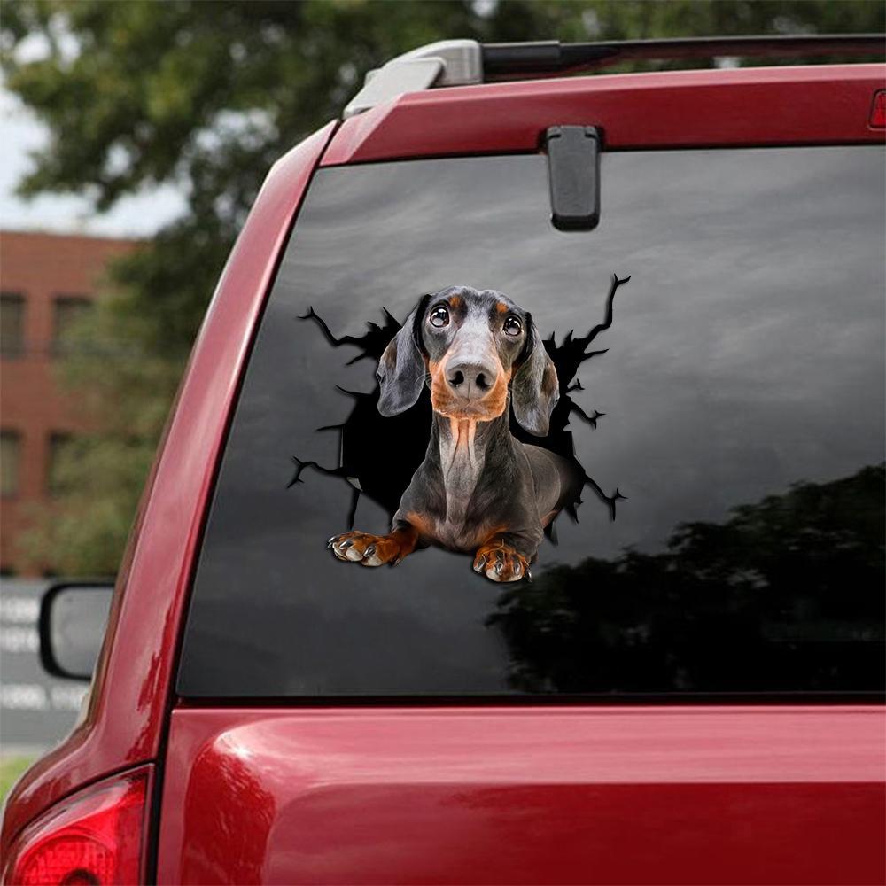 Dachshund Crack Car Sticker, Toilet Sticker, Fridge Sticker (30)