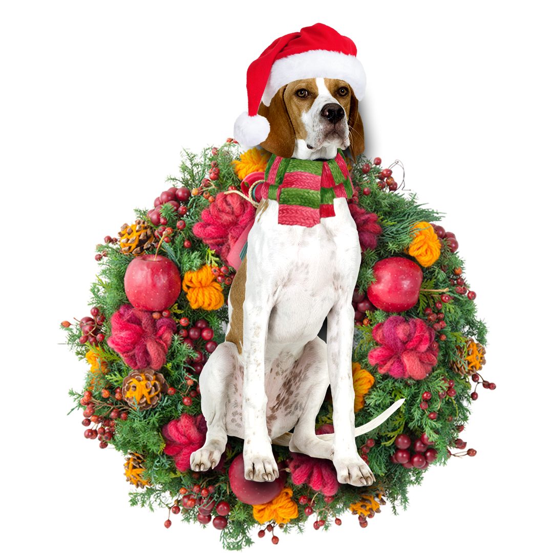 English Pointer Christmas Ornament Noodever