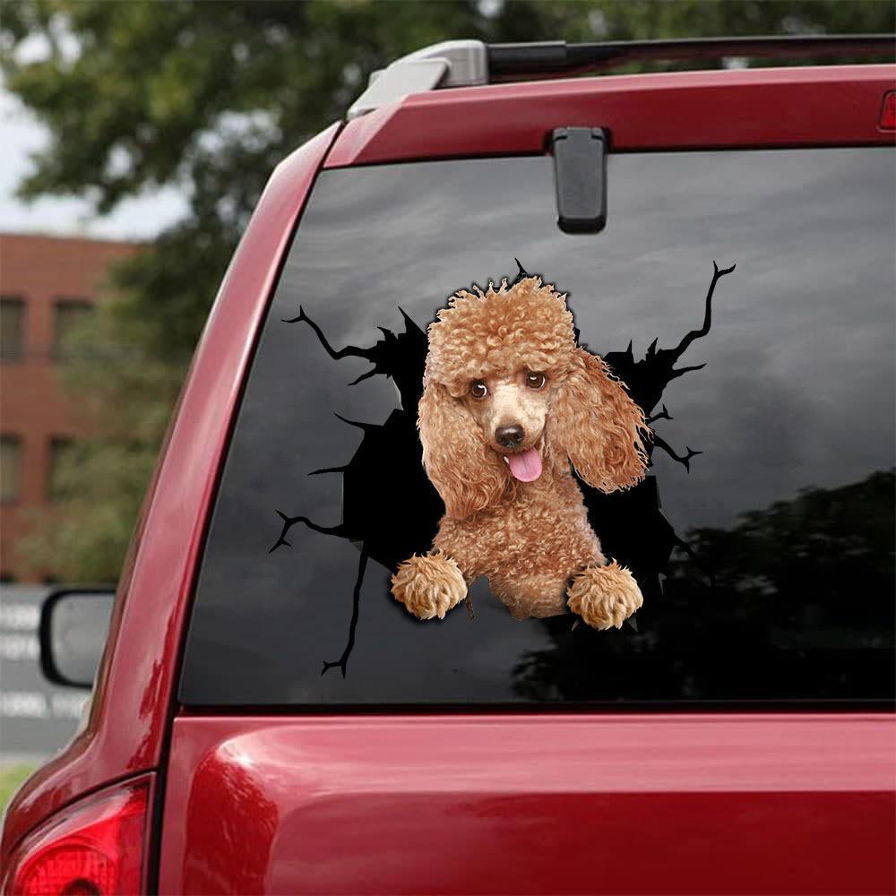 Poodle Crack Car Sticker, Toilet Sticker, Fridge Sticker 10