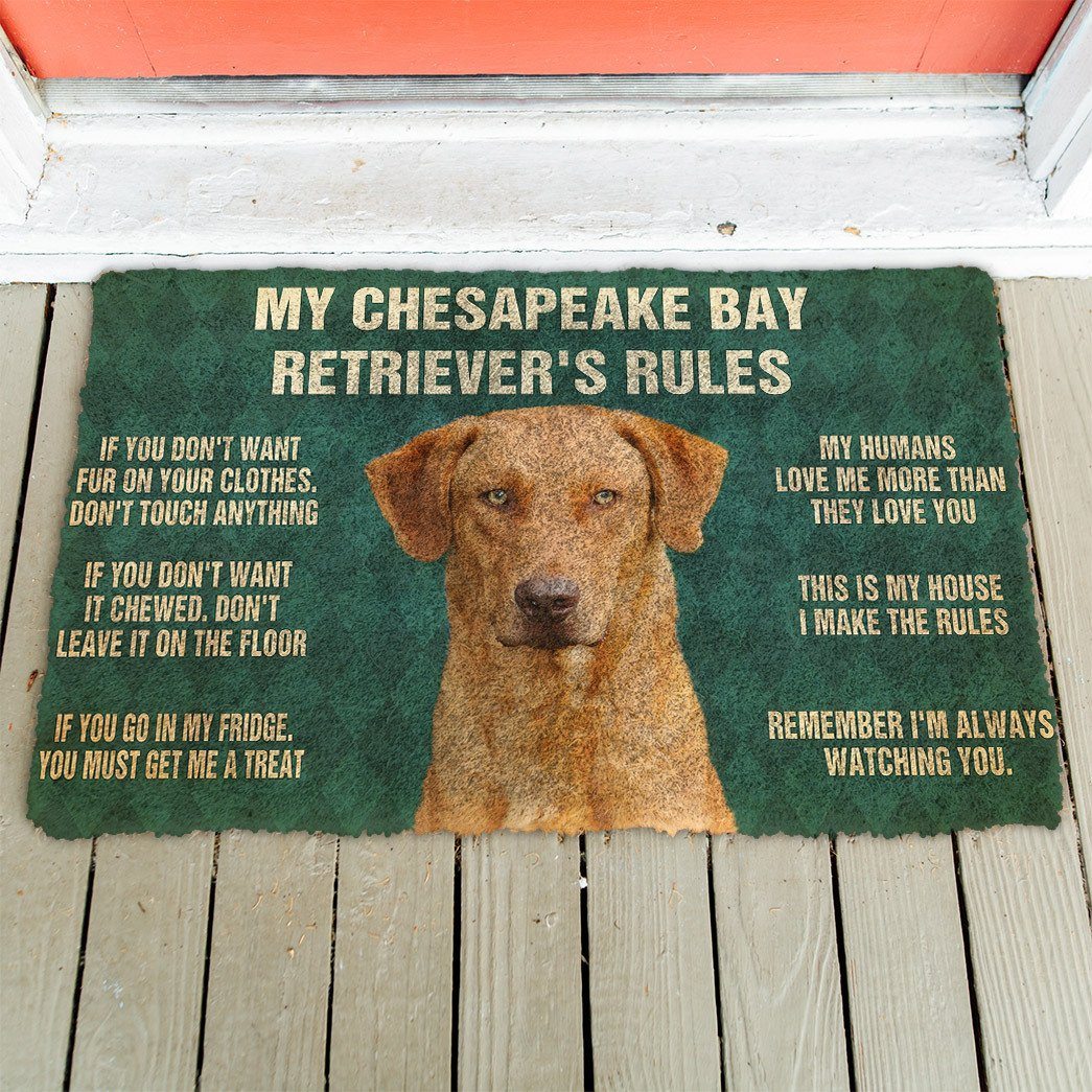 Noodever 3D Chesapeake Bay Retriever's Rules Doormat